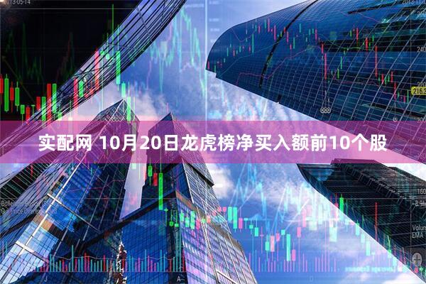 实配网 10月20日龙虎榜净买入额前10个股