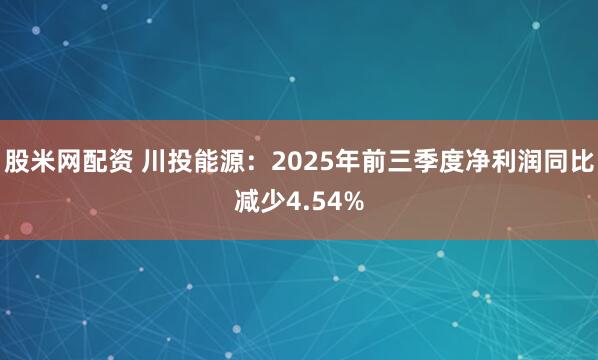 股米网配资 川投能源：2025年前三季度净利润同比减少4.54%