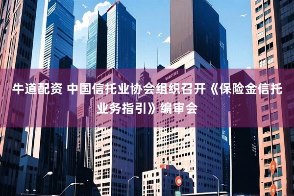 牛道配资 中国信托业协会组织召开《保险金信托业务指引》编审会